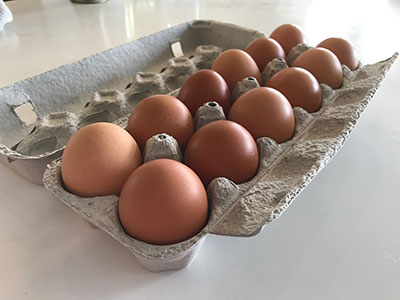 farm fresh eggs