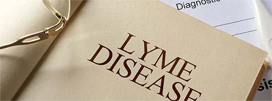 lyme disease talk