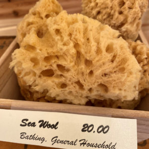 sea wool sponge