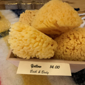 yellow natural sponge